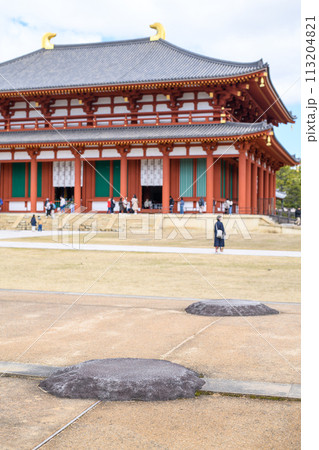 興福寺　復元された中金堂と回廊跡の礎石　奈良県 113204821