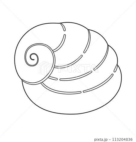 Seashell. Black and white outline. Art therapy Coloring page 113204836