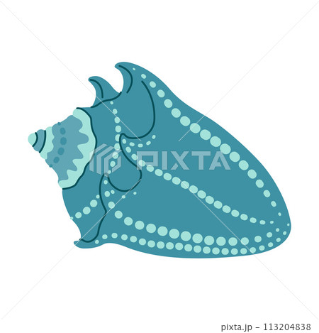 Seashell Hand drawn. Cartoon style flat illustration isolated on white background. Seashell Hand drawn. Cartoon style flat illustration isolated on white background. 113204838