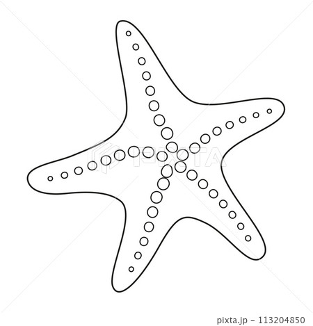 Starfish Black and white. Art therapy Coloring page Starfish Black and white. Art therapy Coloring page 113204850