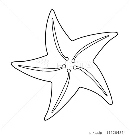 Starfish Black and white. Art therapy Coloring page Starfish Black and white. Art therapy Coloring page 113204854