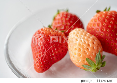 いちご食べ比べ いちご食べ比べ 113204861