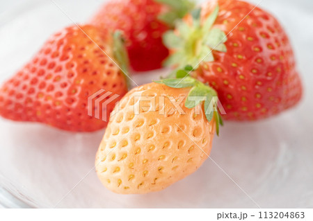 いちご食べ比べ いちご食べ比べ 113204863