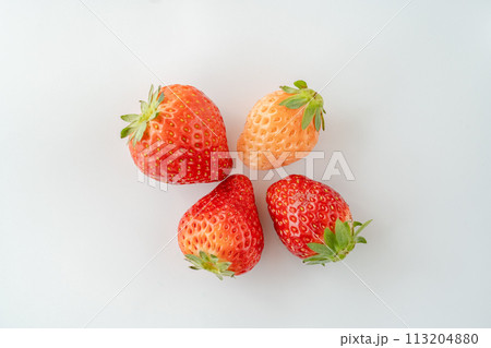 いちご食べ比べ いちご食べ比べ 113204880