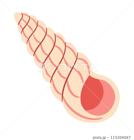 Seashell Hand drawn. Cartoon style flat illustration seashell isolated on white background. Seashell Hand drawn. Cartoon style flat illustration seashell isolated on white background. 113204887