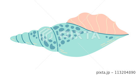 Seashell Hand drawn. Rapa Snail Cartoon style flat illustration seashell isolated on white background. Seashell Hand drawn. Rapa Snail Cartoon style flat illustration seashell isolated on white background. 113204890