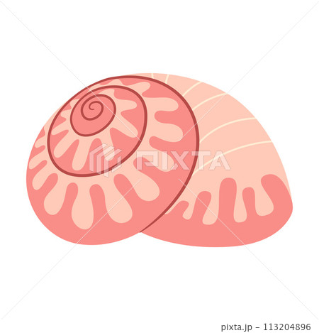 Seashell Hand drawn. Cartoon style flat illustration seashell isolated on white background. Seashell Hand drawn. Cartoon style flat illustration seashell isolated on white background. 113204896