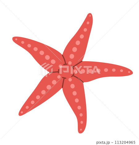 Starfish Hand drawn. Cartoon style flat illustration seashell isolated on white background. Starfish Hand drawn. Cartoon style flat illustration seashell isolated on white background. 113204965
