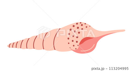Seashell Murex Hand drawn. Cartoon style flat illustration seashell isolated on white background. Seashell Murex Hand drawn. Cartoon style flat illustration seashell isolated on white background. 113204995