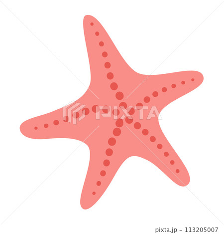 Starfish Hand drawn. Cartoon style flat illustration seashell isolated on white background. 113205007