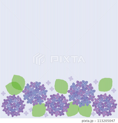 紫陽花　ストライプ　フレーム　紫色 113205047