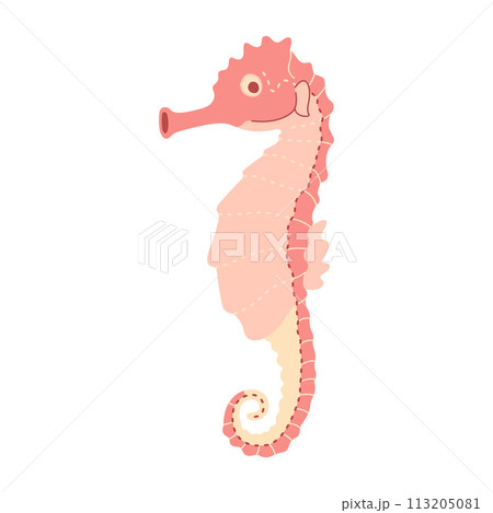 Pink seahorse. Sea hippocampus flat illustration isolated on white background Pink seahorse. Sea hippocampus flat illustration isolated on white background 113205081