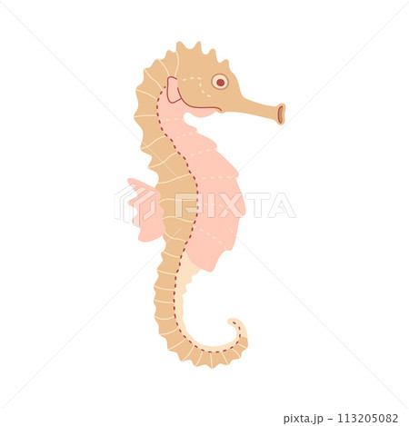 Cute seahorse. Sea hippocampus flat illustration isolated on white background Cute seahorse. Sea hippocampus flat illustration isolated on white background 113205082