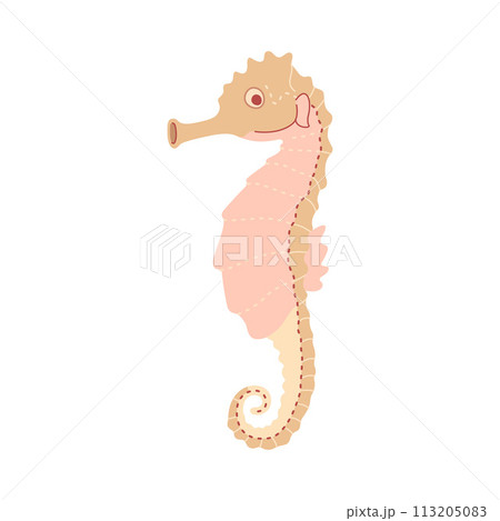 Cute seahorse. Sea hippocampus flat illustration isolated on white background Cute seahorse. Sea hippocampus flat illustration isolated on white background 113205083