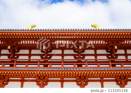 興福寺 復元された中金堂と鴟尾 奈良県 興福寺 復元された中金堂と鴟尾 奈良県 113205156