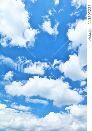 夏の青空と白い雲 113205225