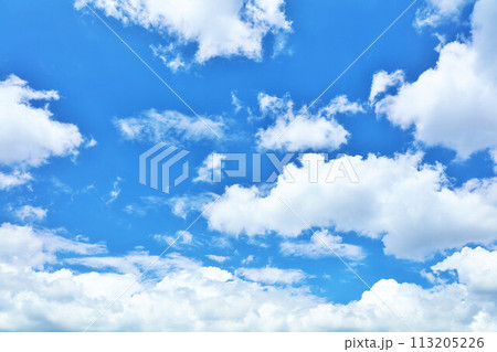 夏の青空と白い雲 113205226