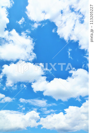 夏の青空と白い雲 113205227