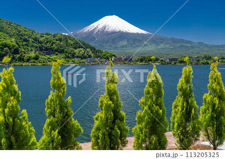 《山梨県》初夏の富士山・新緑の河口湖湖畔 113205325