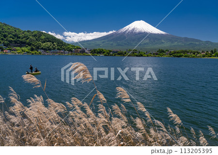 《山梨県》初夏の富士山・新緑の河口湖湖畔 113205395