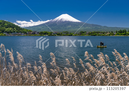 《山梨県》初夏の富士山・新緑の河口湖湖畔 113205397