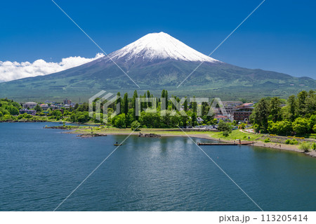 《山梨県》初夏の富士山・新緑の河口湖湖畔 《山梨県》初夏の富士山・新緑の河口湖湖畔 113205414