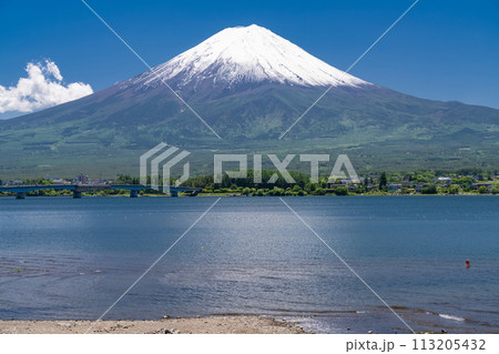 《山梨県》初夏の富士山・新緑の河口湖湖畔 113205432