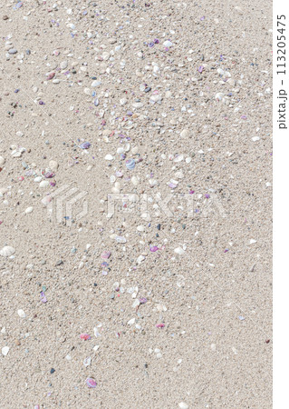 小さな貝殻と砂の背景 113205475