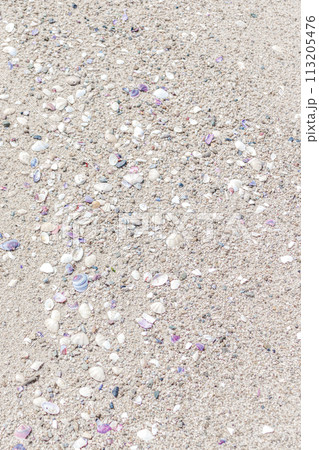 小さな貝殻と砂の背景 113205476