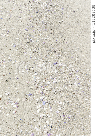 小さな貝殻と砂の背景 113205539