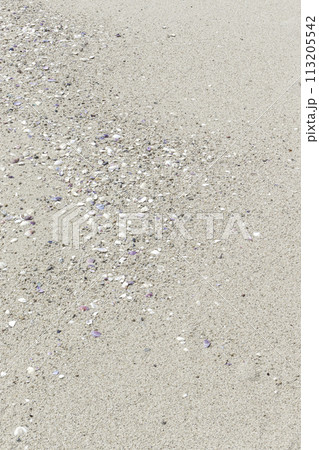 小さな貝殻と砂の背景 113205542