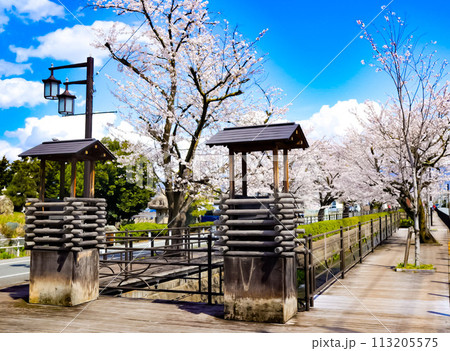 桜咲く、石和温泉 113205575