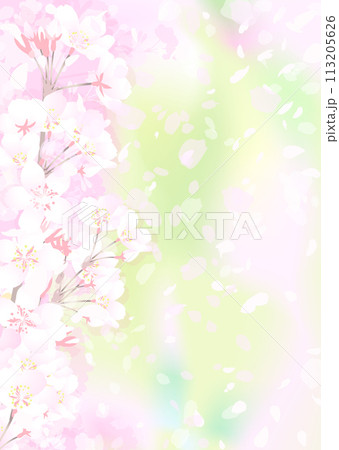 桜と新緑 113205626