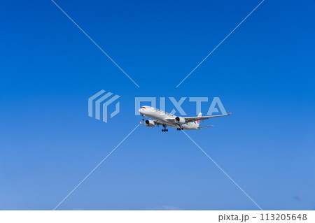 《飛行機》エアバス Airbus A350 XWB > A350-900 113205648