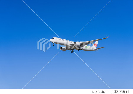 《飛行機》エアバス Airbus A350 XWB > A350-900 113205651