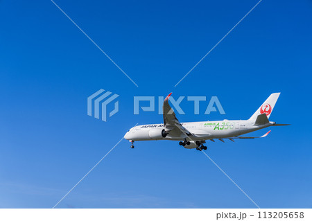 《飛行機》エアバス Airbus A350 XWB > A350-900 《飛行機》エアバス Airbus A350 XWB > A350-900 113205658