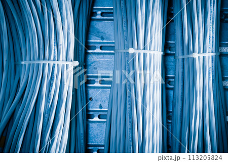 detail of large number of ethernet cables tied together connecting racks inside server room 113205824