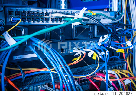 Detail of server room with patch cables Detail of server room with patch cables 113205828