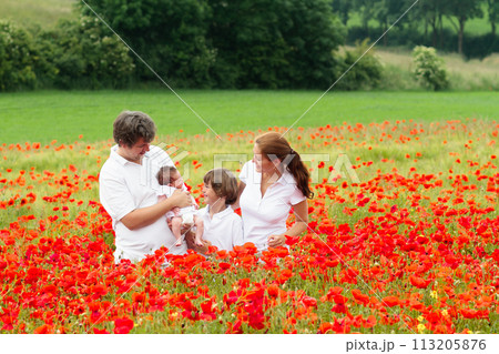 Family in poppy flower meadow Family in poppy flower meadow 113205876