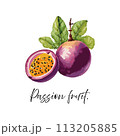 Passion fruit vector illustration 113205885