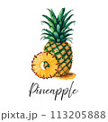 Pineapple and pineapple ring vector illustration.  113205888