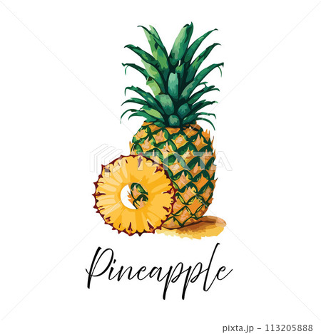 Pineapple and pineapple ring vector illustration. Pineapple and pineapple ring vector illustration. 113205888