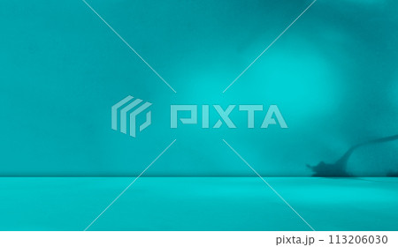 Teal Background Shadow Studio Room Table Product, Green Color Podium with Light Overlay on Wall Floor Scene Cement Loft Backdrop,Abstract Light on Template Mockup Minimal Kitchen Bar,Empty Space Desk. 113206030