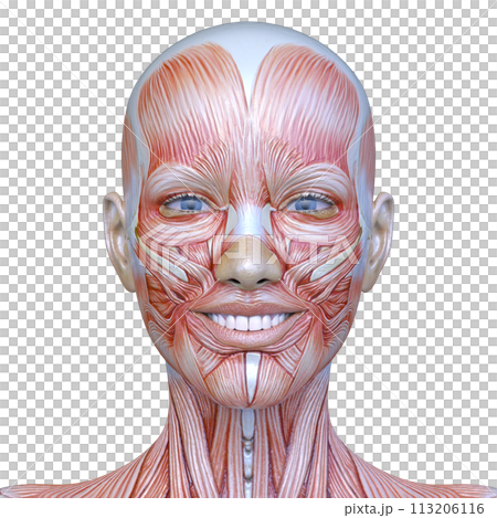 Close-up of a woman's face Close-up of a woman's face 113206116