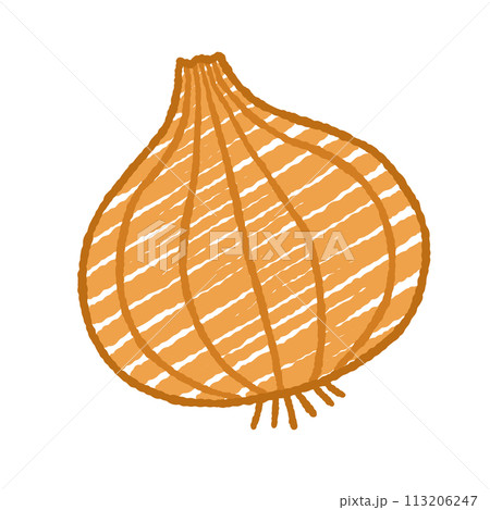 シンプルな玉葱のイラスト 113206247