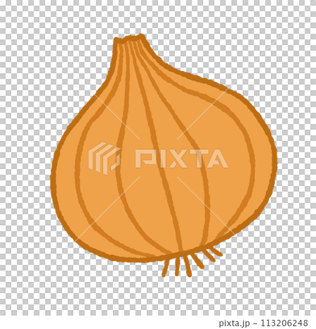 シンプルな玉葱のイラスト 113206248