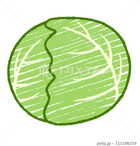 シンプルなキャベツのイラスト 113206259