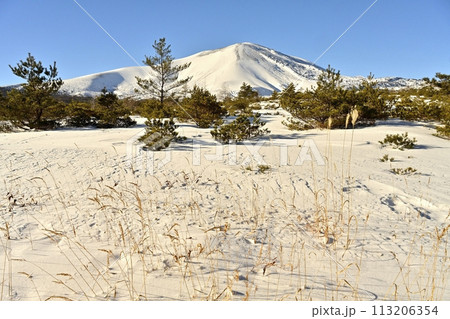 鬼押し道路からの冬の雪原に浅間山 鬼押し道路からの冬の雪原に浅間山 113206354