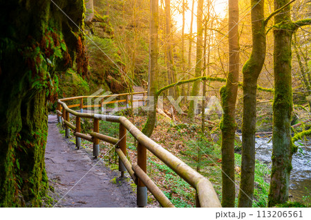 A serene walking path with a wooden railing winds through a lush gorge, bathed in the golden light of sunset. Bohemian Switzerland National Park, Czech Republic A serene walking path with a wooden railing winds through a lush gorge, bathed in the golden light of sunset. Bohemian Switzerland National Park, Czech Republic 113206561