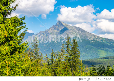 A sunny day view of Krivan, capturing its rugged peak against a blue sky with white clouds, surrounded by lush greenery. High Tatras, Slovakia 113206582